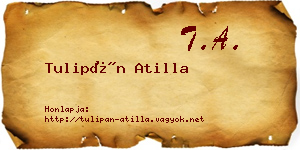 Tulipán Atilla névjegykártya